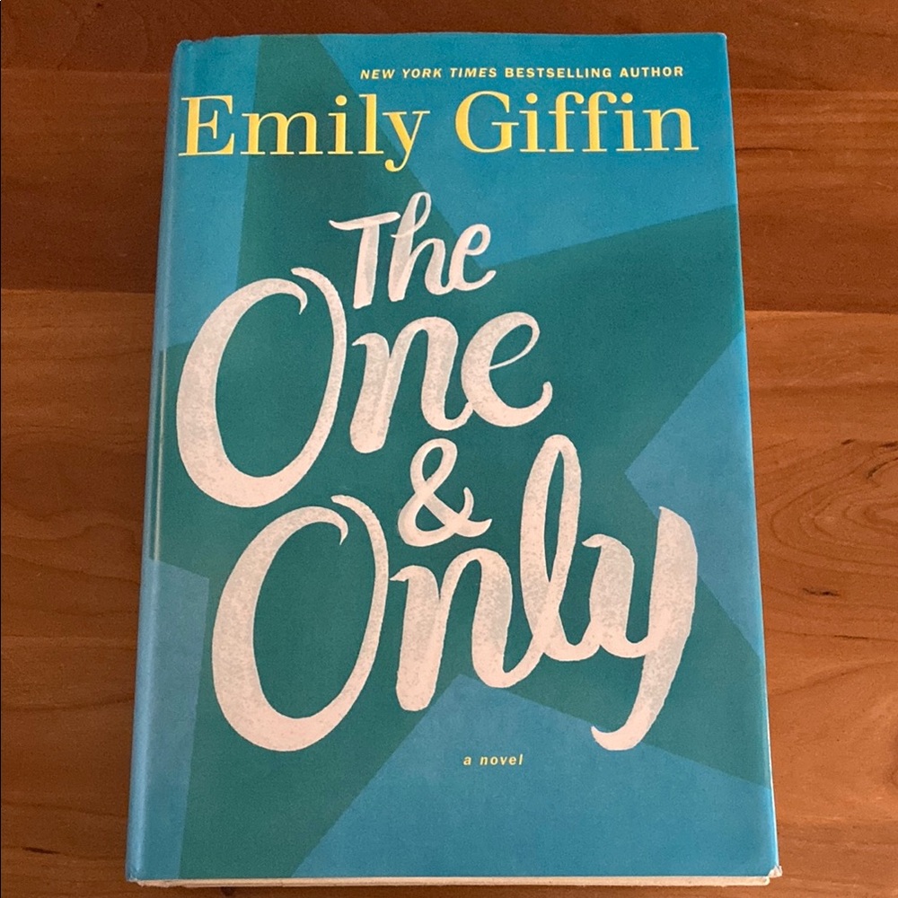 The One & Only A Novel By Emily Giffin Hardback Book